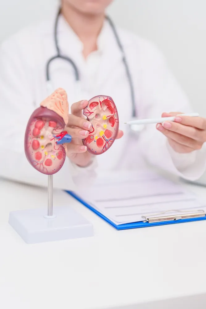 Kidney Cancer Treatment in Hyderabad